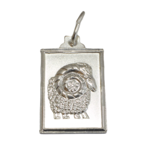 Strieborný prívesok Glare 245S