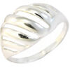 Silberner Ring