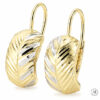 Gold-Ohrringe
